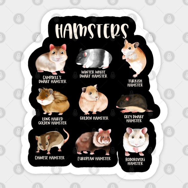 Different types of hamsters clearance